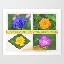 Stay Beautiful and Blooming Photo Collage by stine1 Art Print