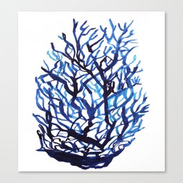 Blue coral Canvas Print