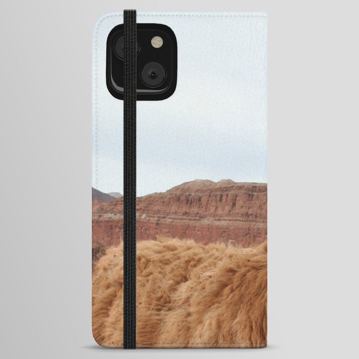 Argentina Photography - Llama In The Mountain Filled Desert iPhone Wallet Case