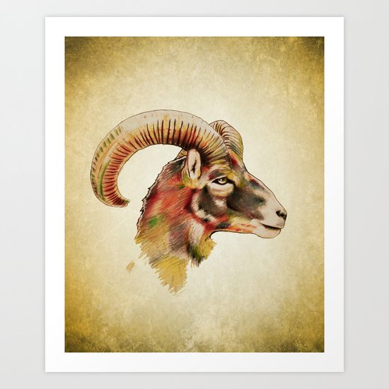 Antelope Art Print