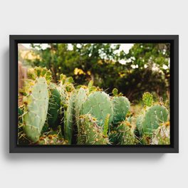 Arizona Framed Canvas