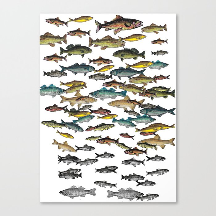Fish Beach Nautical multicolor and black and white Canvas Print