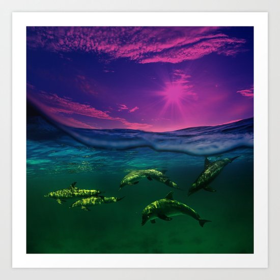 Dreaming Of Dolphins Art Print
