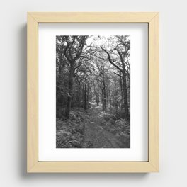 Woodland Walk Recessed Framed Print