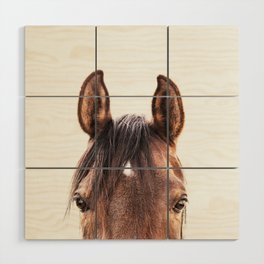 peekaboo horse, bw horse print, horse photo, equestrian, equestrian photo, equestrian decor Wood Wall Art