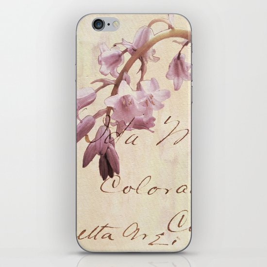 A Letter For You iPhone & iPod Skin