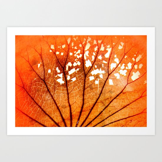 red leaf Art Print