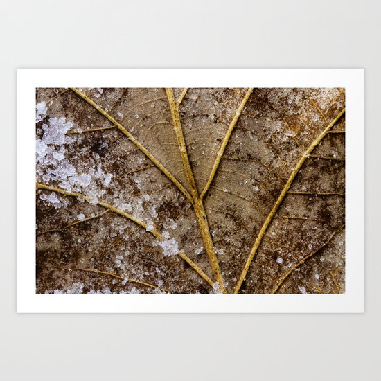 like sugar Art Print