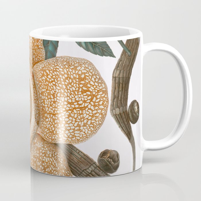 Rafflesia Arnoldii Coffee Mug