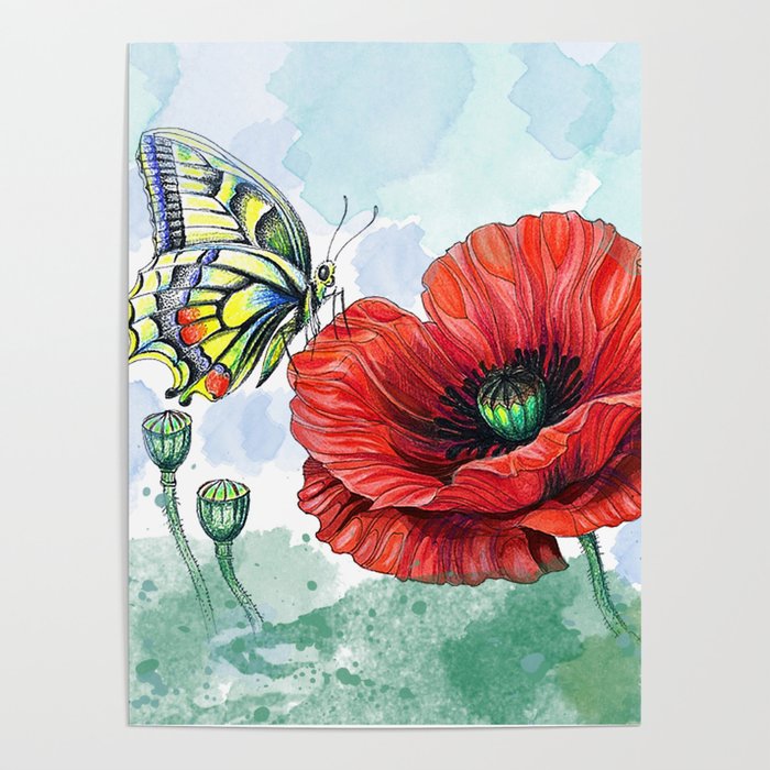 Red poppy & butterfly Poster