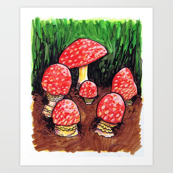 Mushrooms - Fungus Art Print