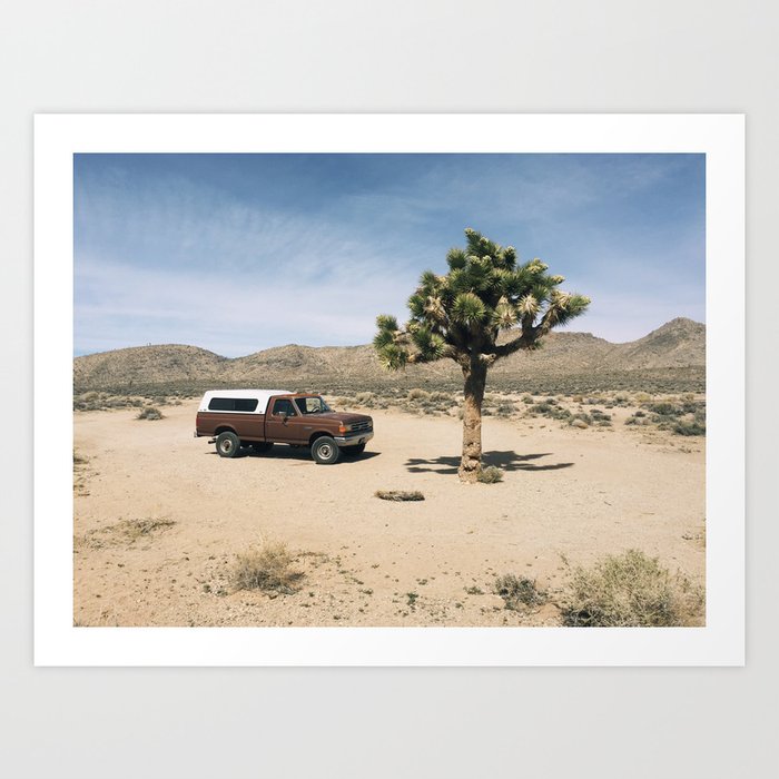 Joshua Tree in Death Valley  Art Print