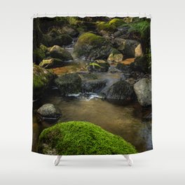 Forest Creek Shower Curtain