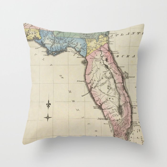 Throw Pillow