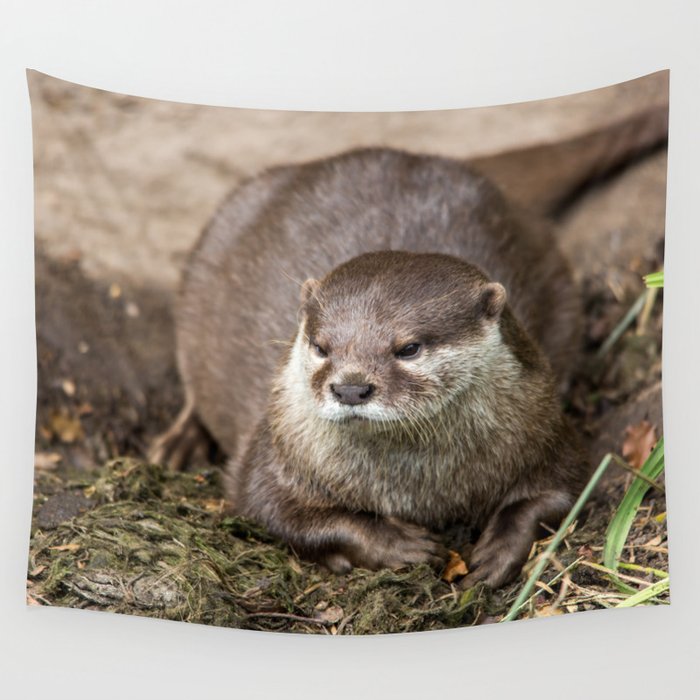 Sunning Otter Wall Tapestry