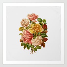 Rose Botanical Art Print