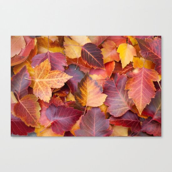 Autumn's Carpet Canvas Print