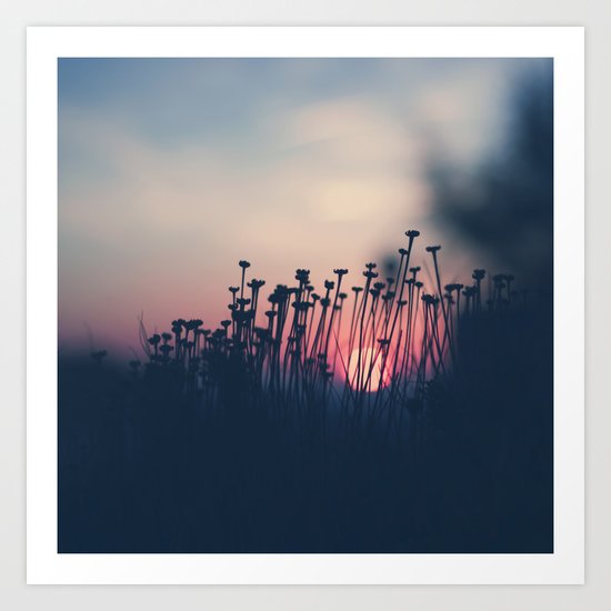 beach sunset Art Print