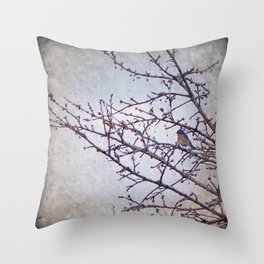 over yonder Throw Pillow