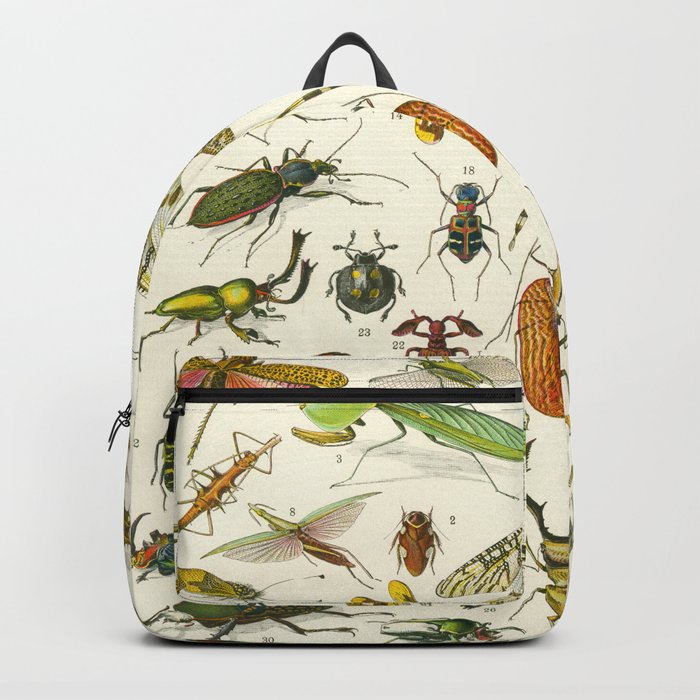 Bugs  Backpack