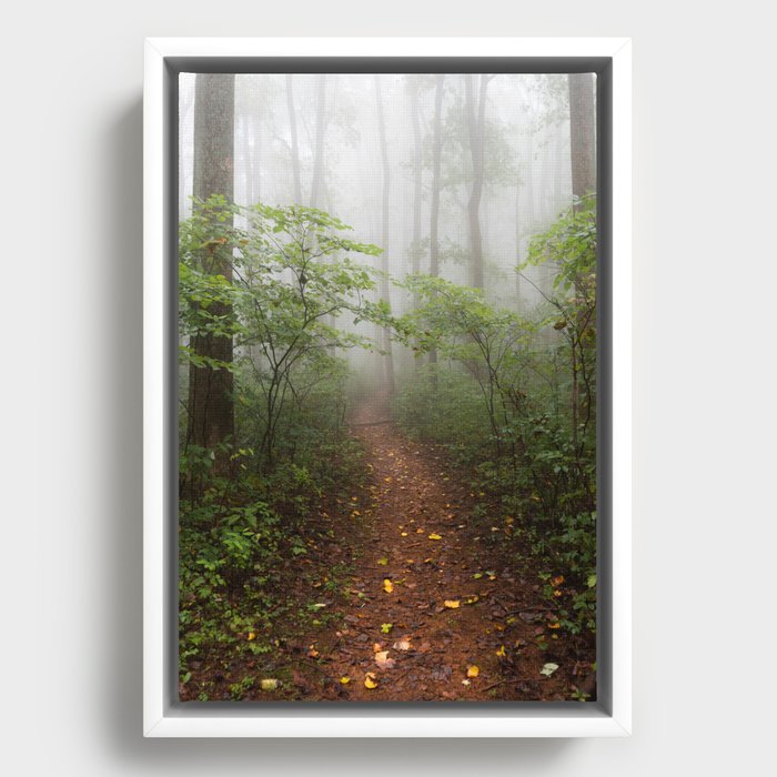 Adventure Ahead - Foggy Forest Digital Nature Photography Framed Canvas