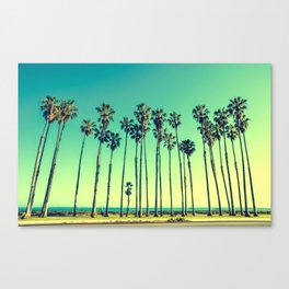 Tropical Tall Palm Trees on the Beach Canvas Print