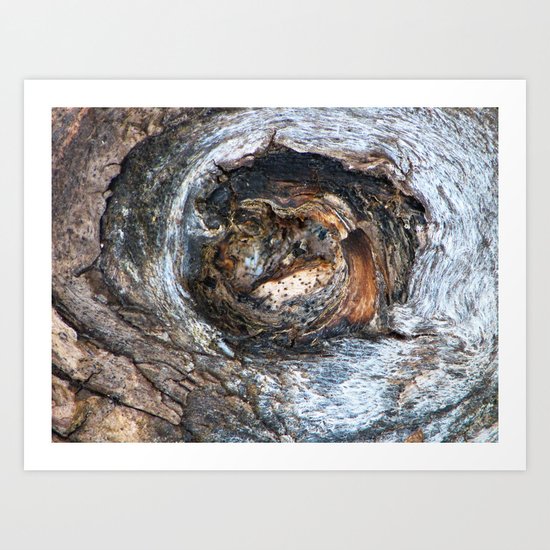 bark Art Print