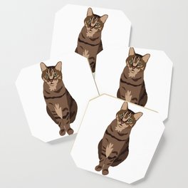 Tabby Cat Coaster