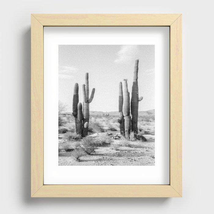 Black and White Saguaros Recessed Framed Print