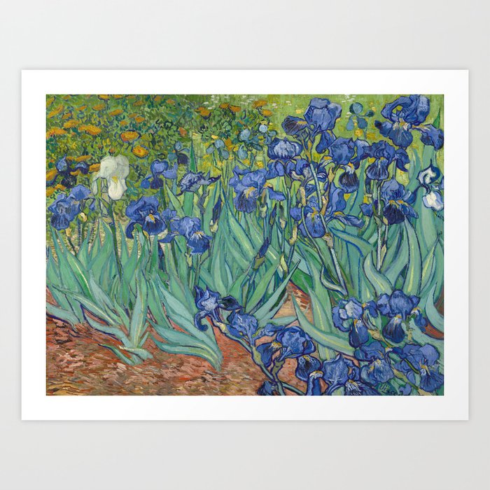 Irises, Vincent Van Gogh Art Print