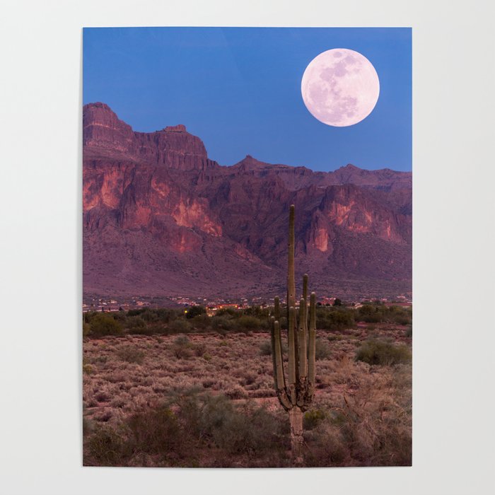 Desert Cactus, Grand Canyon, Arizona, Full Moon Poster