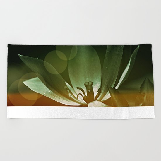 #80 Beach Towel