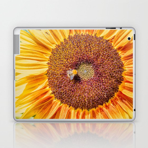 Close up view of a Sunflower bloom with a bee collecting pollen Laptop & iPad Skin