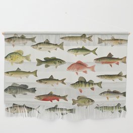Illustrated North America Game Fish Identification Chart Wall Hanging