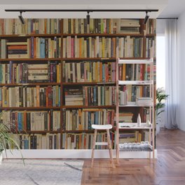 Bookshelf Books Library Bookworm Reading Wall Mural
