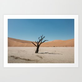 Lonely tree in African Desert | Nature photography | Travel photography | Art Print