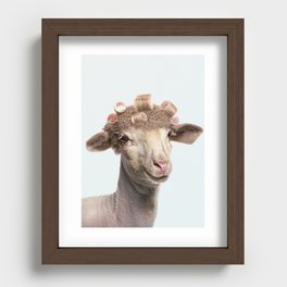 Sheep's night out Recessed Framed Print