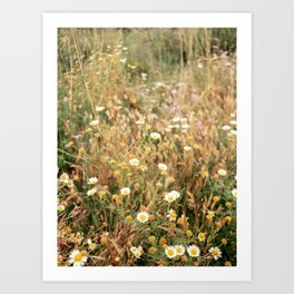 Wildflowers on the coast in Ericeira | Portugal travel photography Art Print