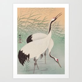 Two cranes in the lake - Japanese vintage woodblock print Art Print