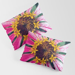 Dare to be Different Zinnia Pillow Sham