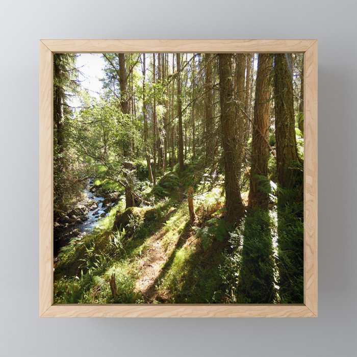 Playing in the Woods Framed Mini Art Print