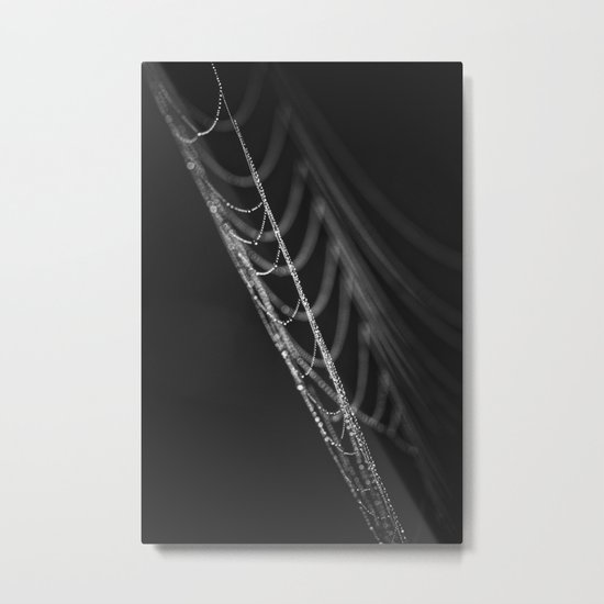 the veil Metal Print
