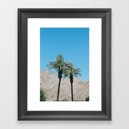 Palm Trees in Indio Framed Art Print