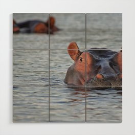 South Africa Photography - Two Hippos Swimming In A Lake Wood Wall Art