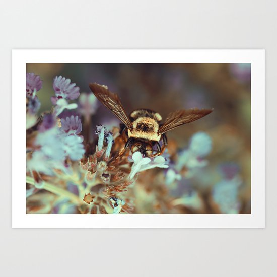 Sip Art Print