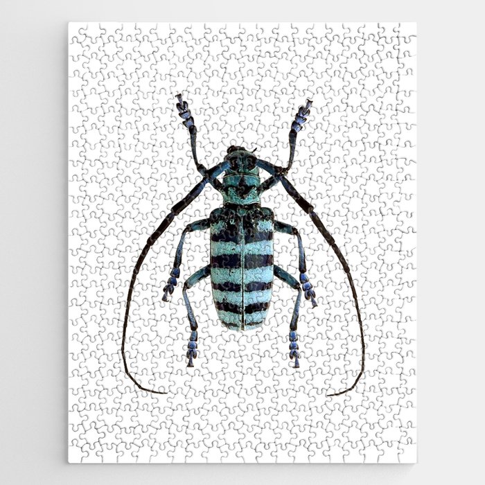Anoplophora Graafi Beetle Jigsaw Puzzle