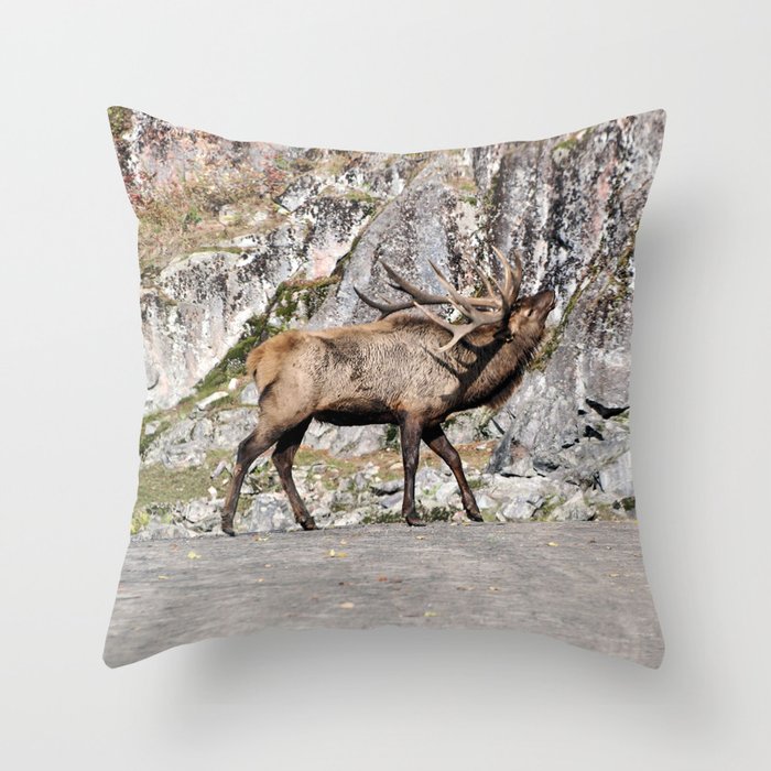 Elk sales throw pillows