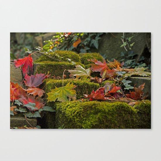 Autumnlights- Indian Summer IV Canvas Print