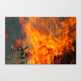Fire Flames Bonfire Closeup Canvas Print