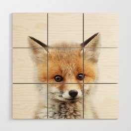 Baby Fox, Fox Cub, Woodland Animals, Kids Art, Baby Animals Art Print By Synplus Wood Wall Art